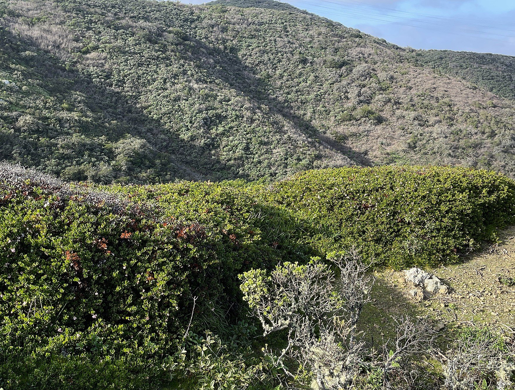 Doug's Mountain Journal - Winter 2026