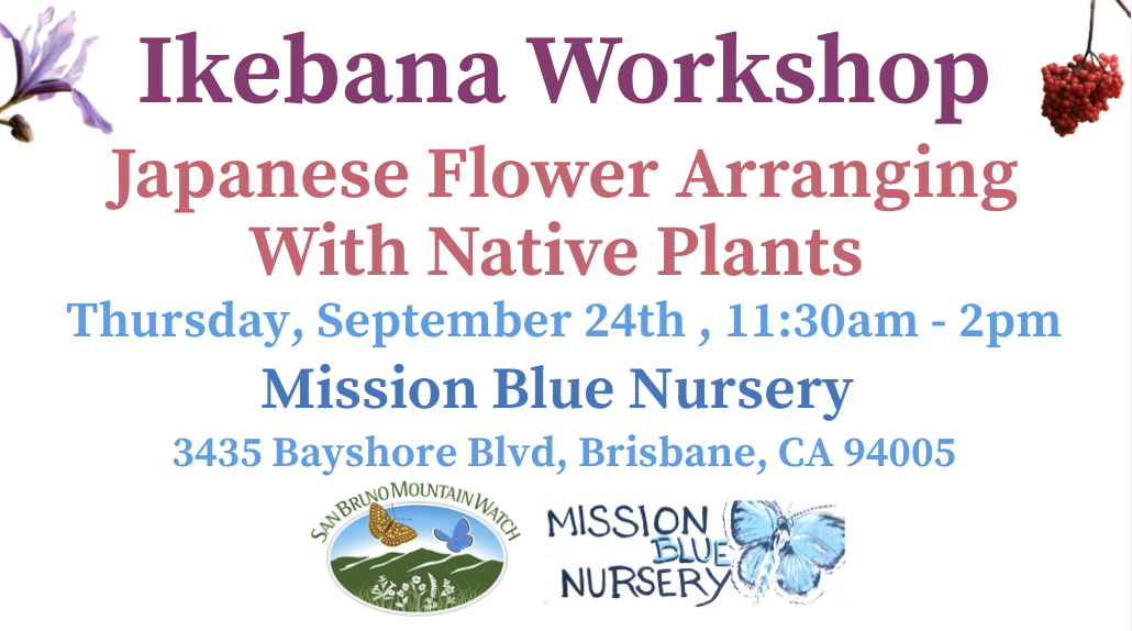 Ikebana Workshop: Japanese Flower Arranging With Native Plants