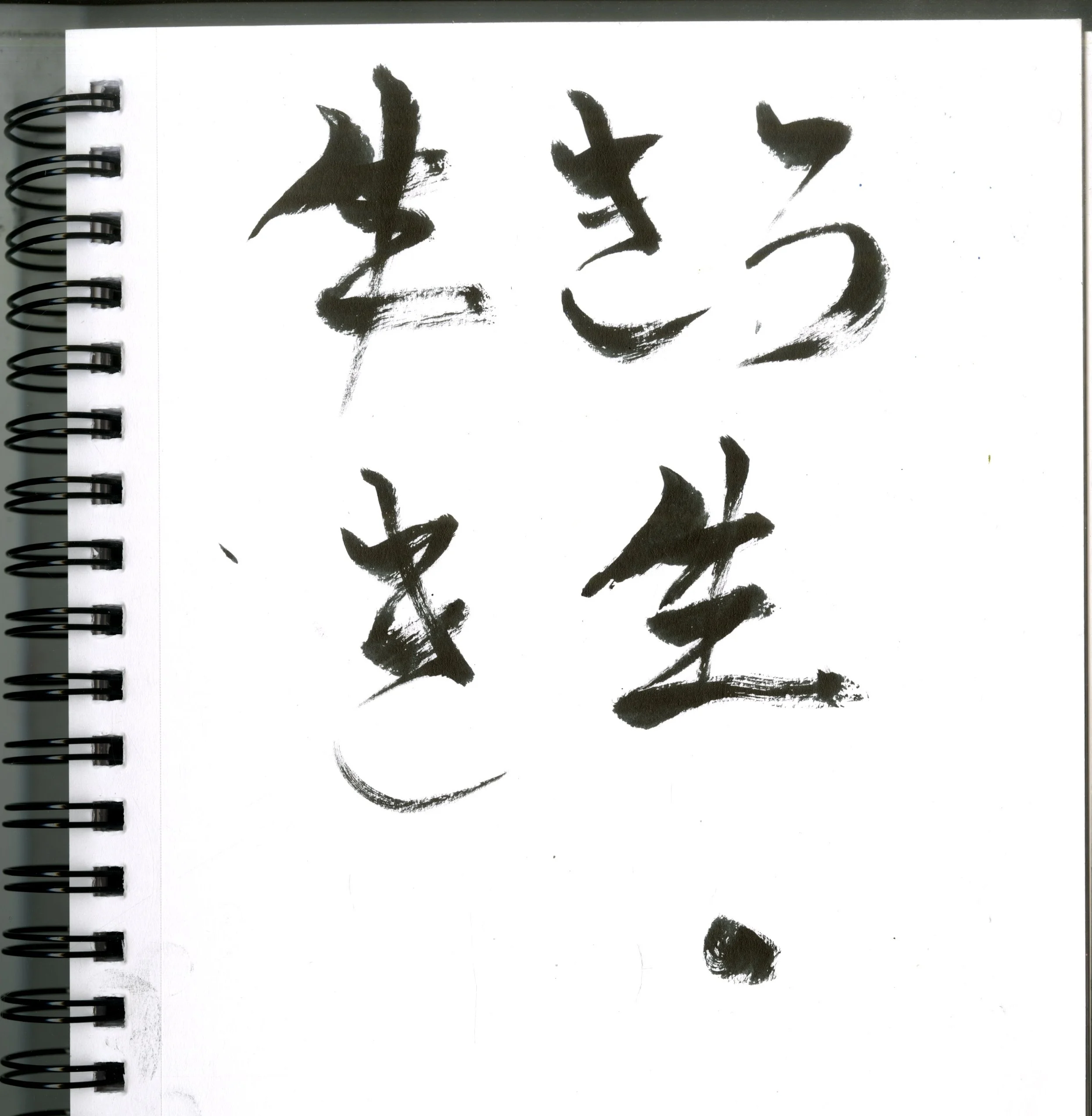 The writing at the end was hand drawn by me! :)