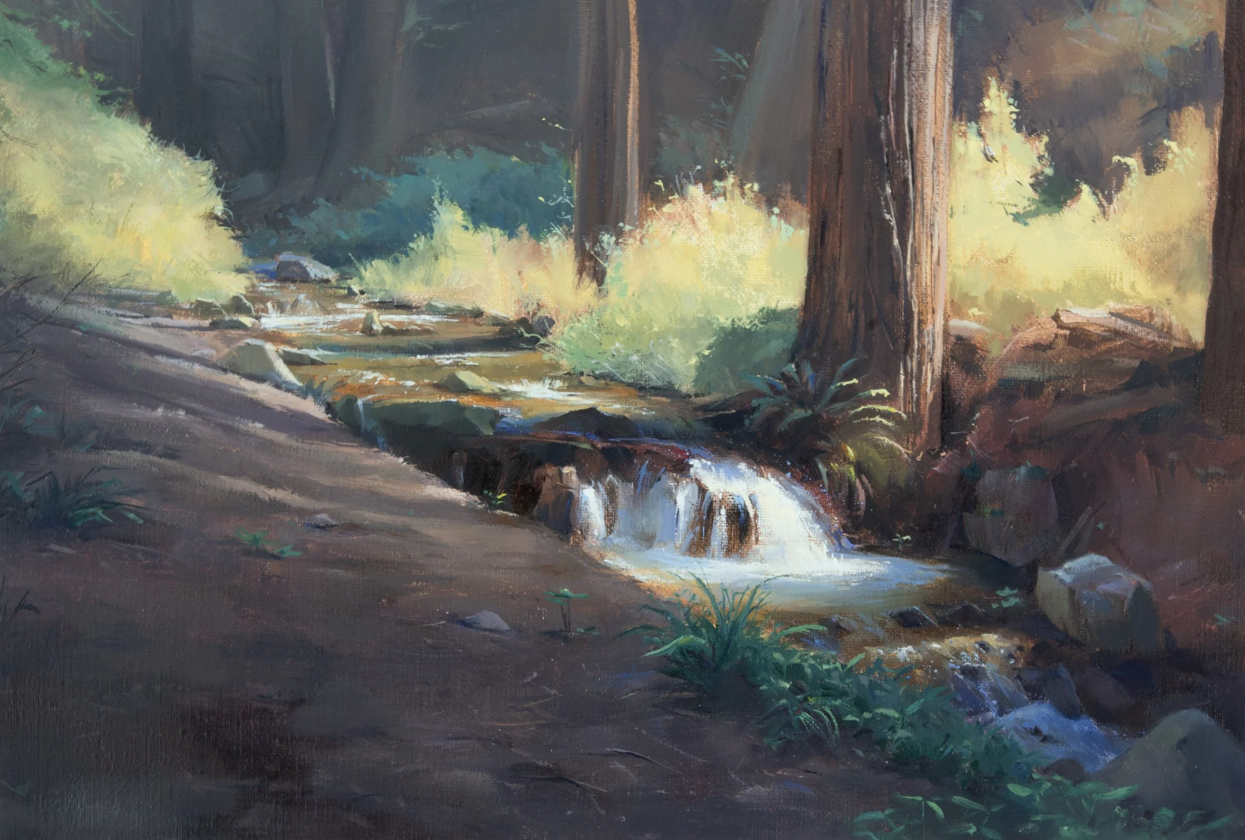 11x14_Sam_BigSurRedwoodStream.jpg