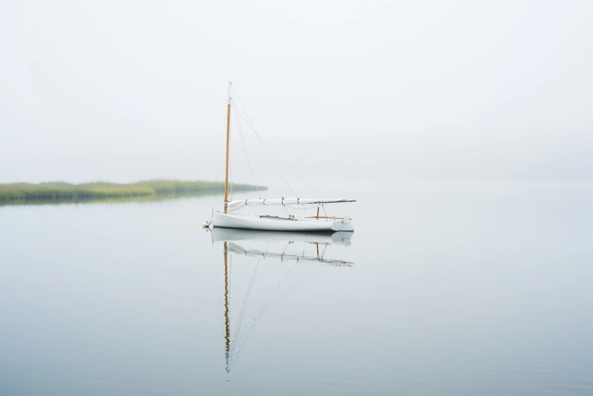Lagoon Pond, by Alison Shaw