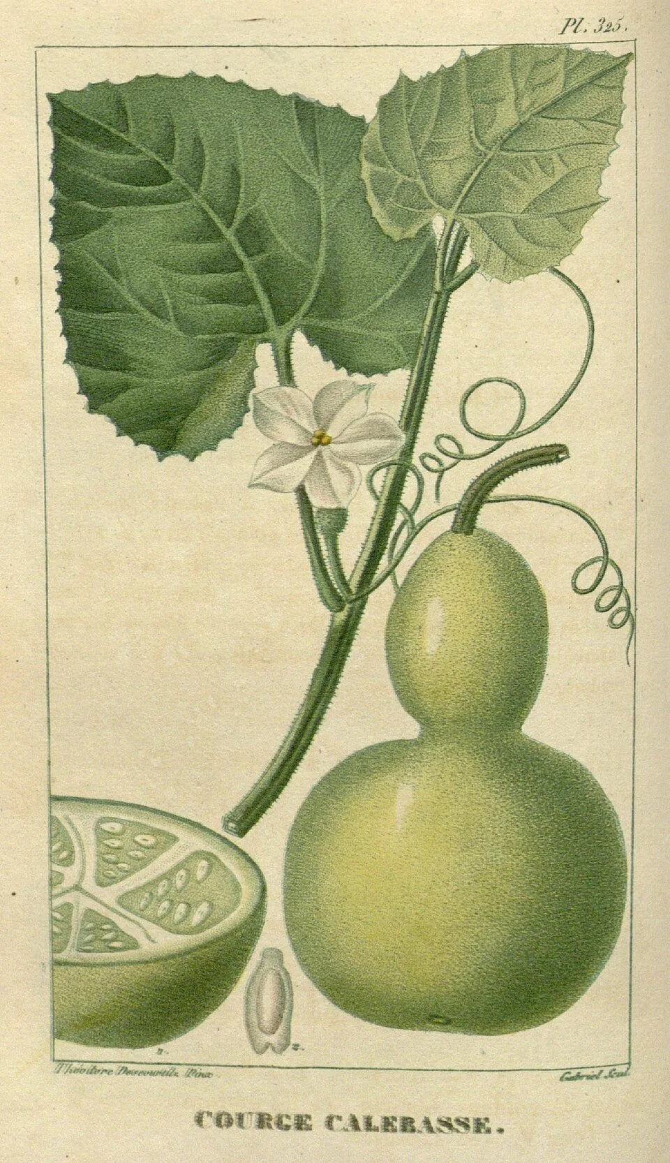 Concerning a Variant in the de Fuentes Manuscript