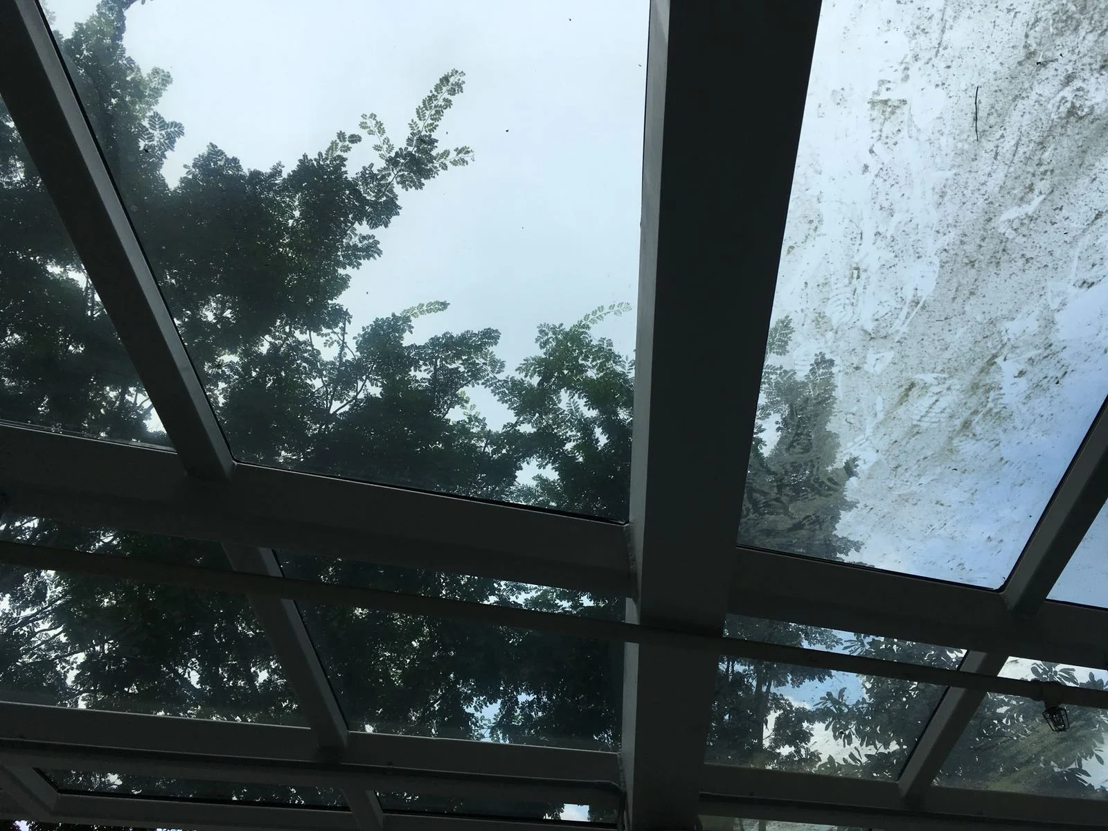 48dc7a78-d739-4f1e-8862-52a91e1b75e5.JPG