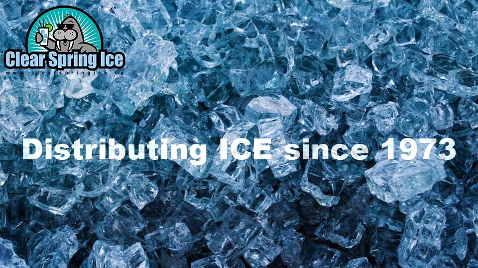 ices1.jpg