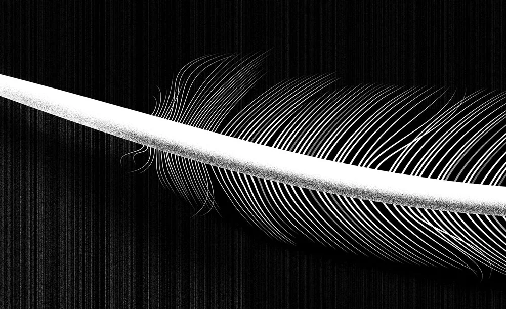 feather_v1.jpg
