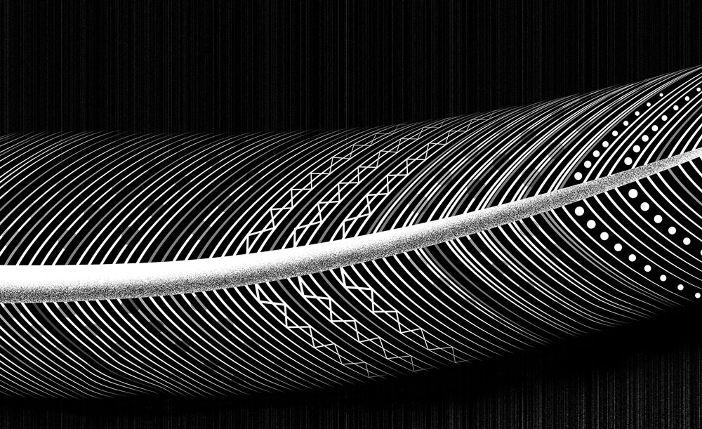 feather_v2.jpg