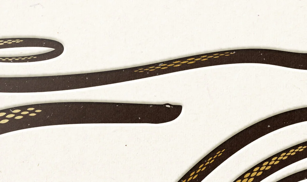 snake_detail_v1.jpg