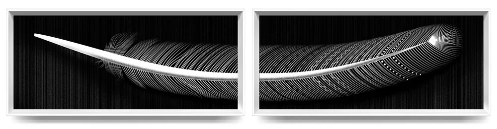 feather_v4.jpg