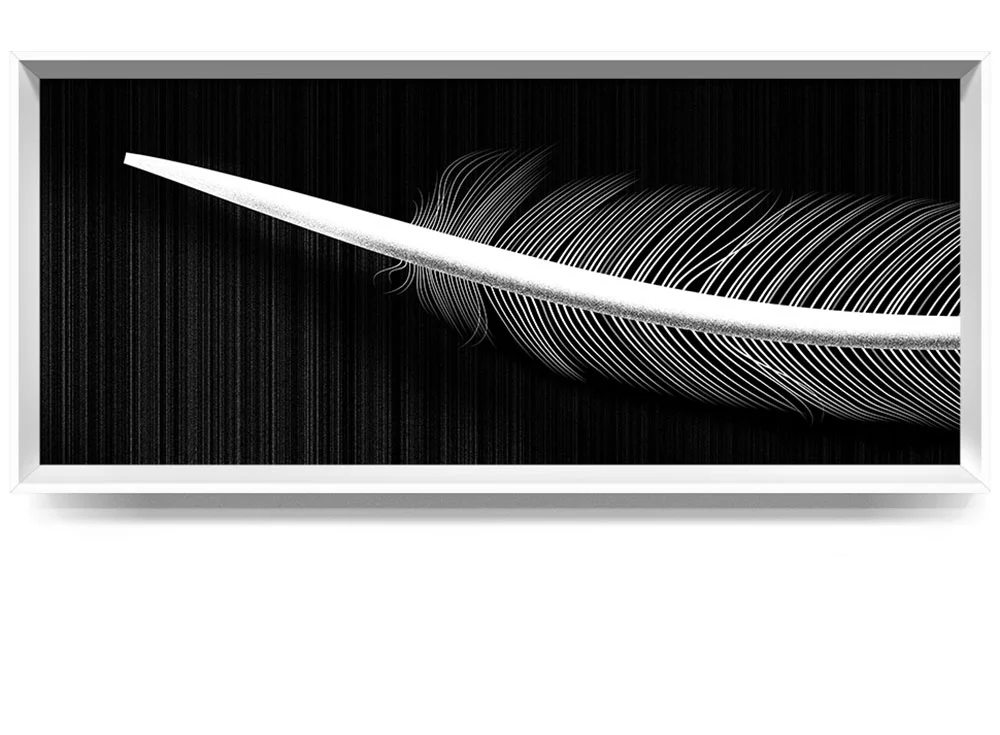 feather_home_v1.jpg