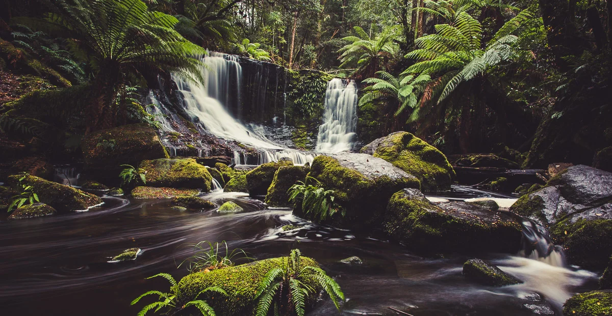 Horseshoe Falls, Mt. Field National Park, Tasmania