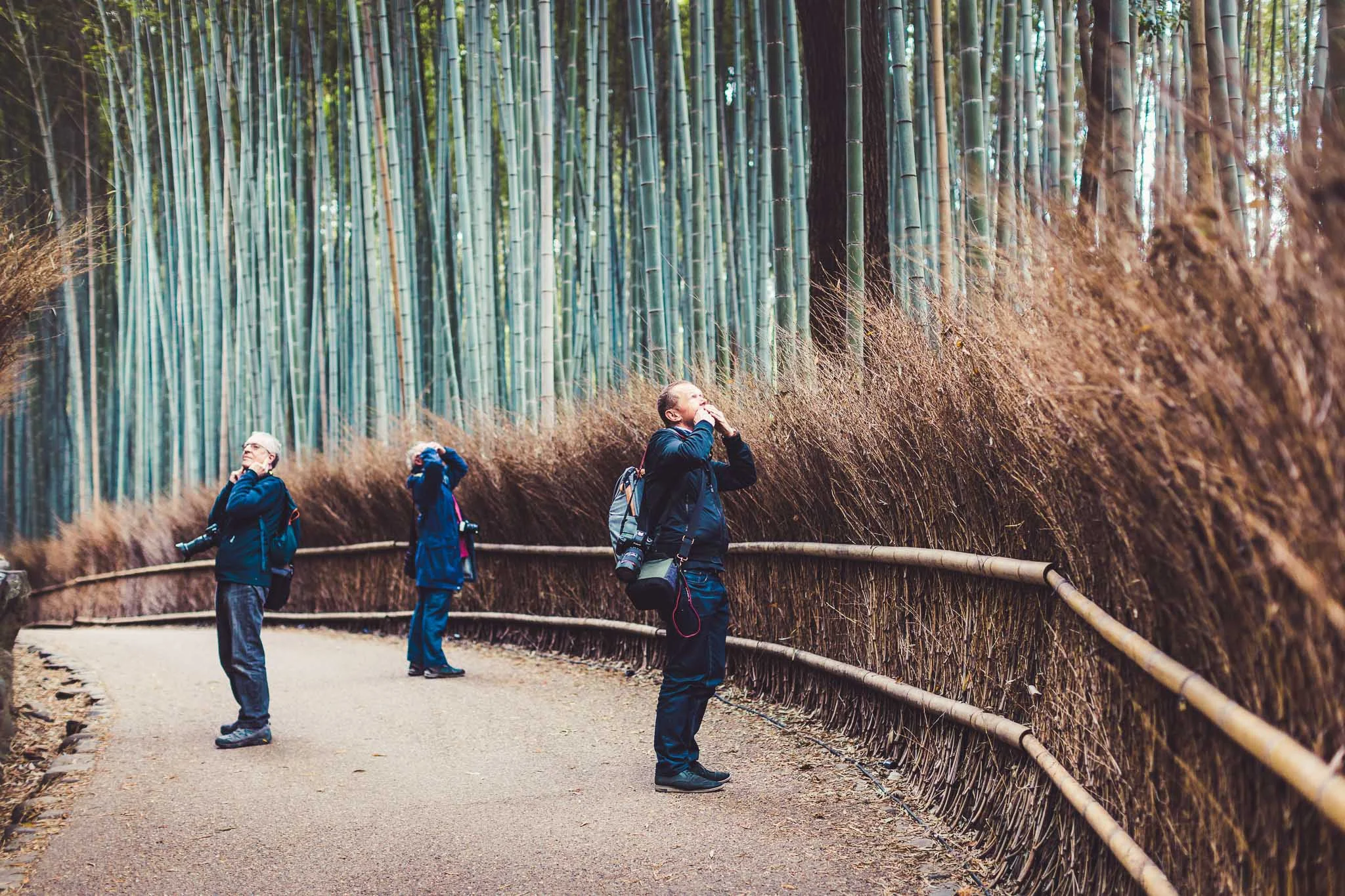 Arashiyama (9 of 55).jpg