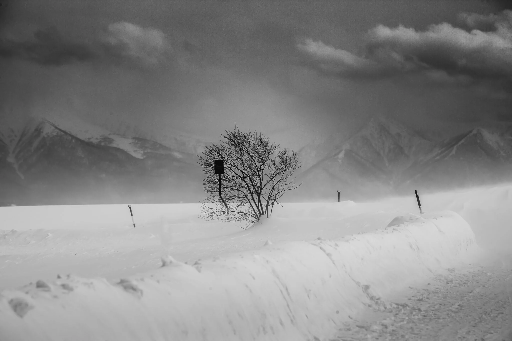 BW Biei (9 of 10).jpg