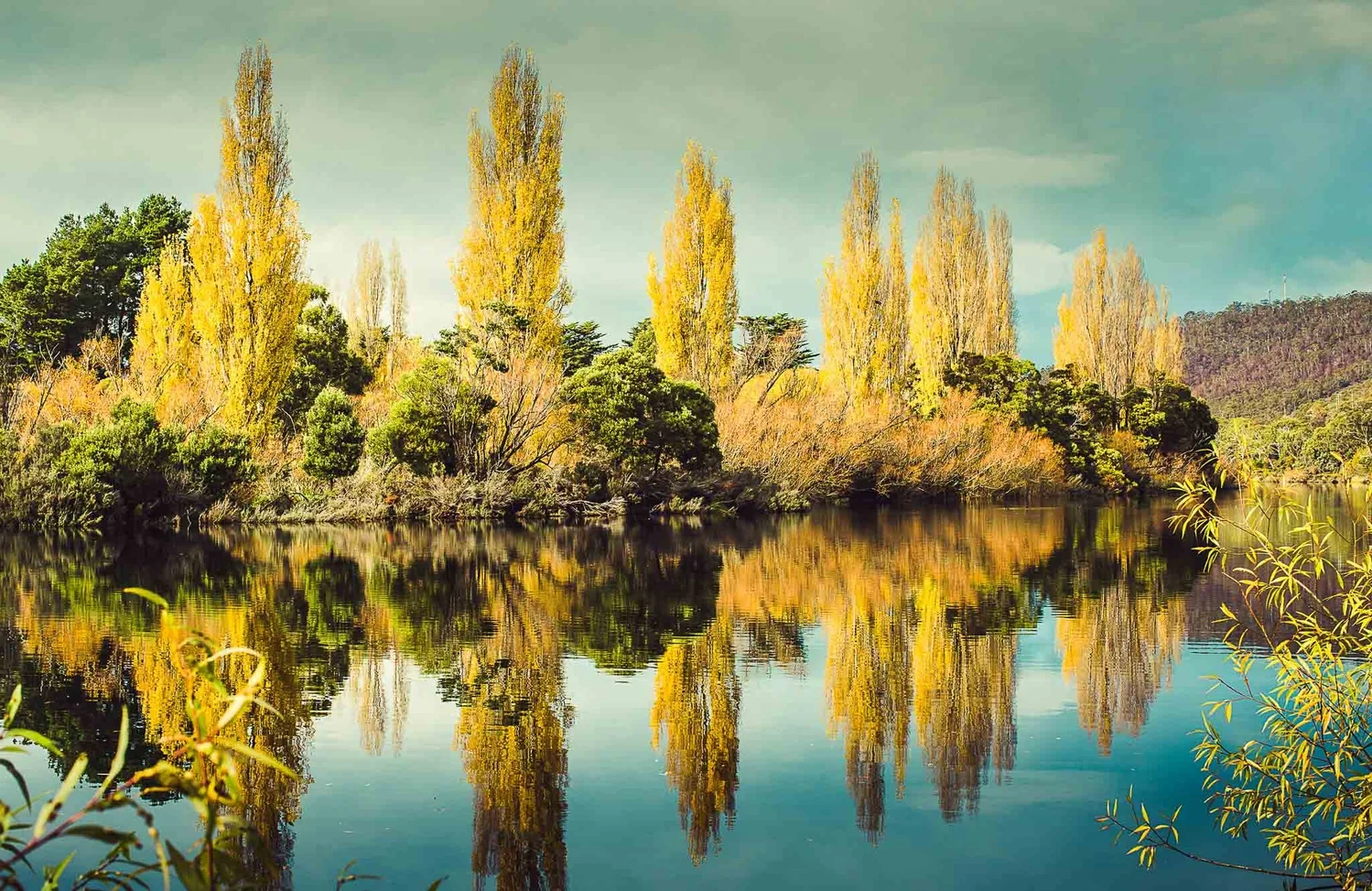 New Norfolk - Derwent River