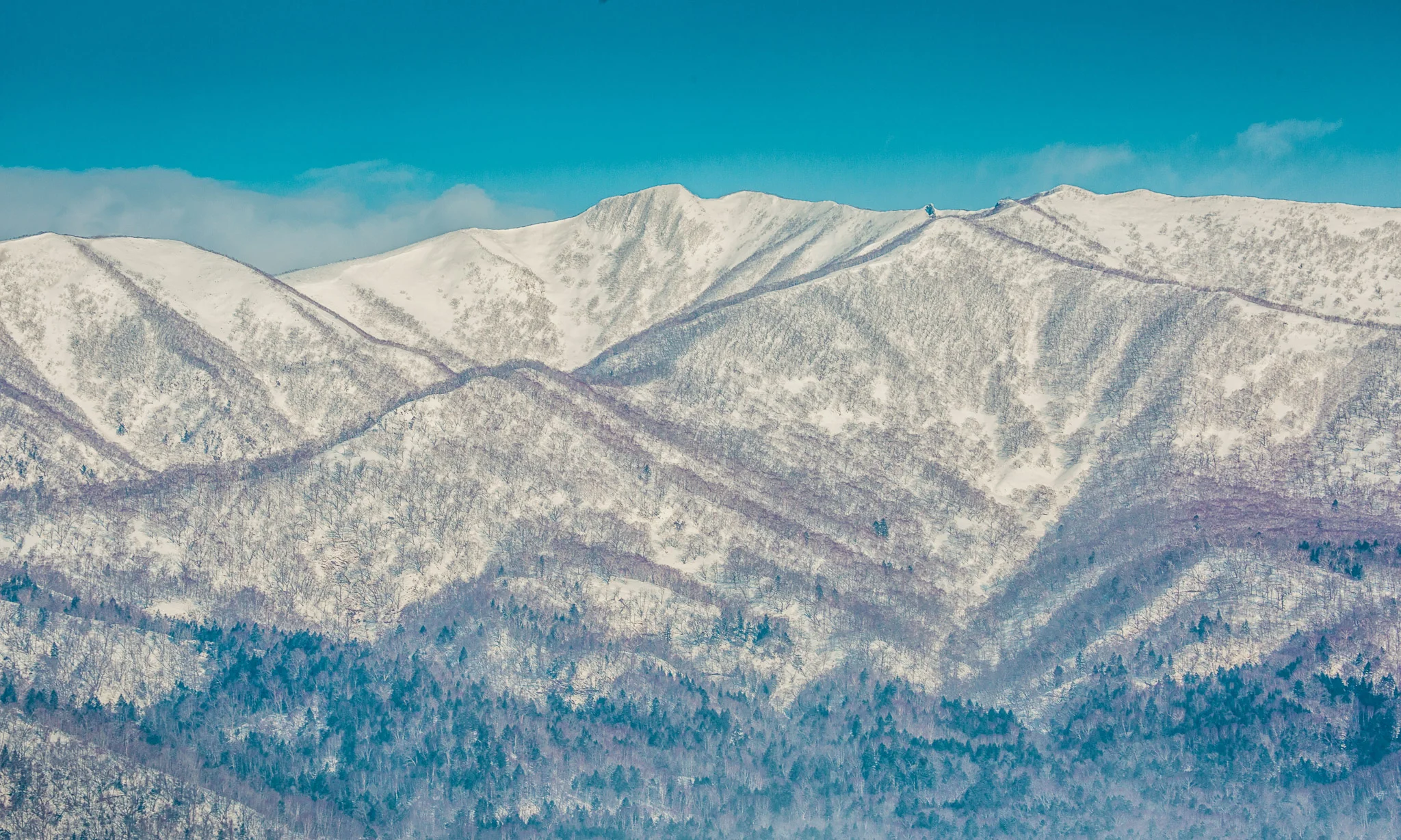 Japan Photo Tours Winter