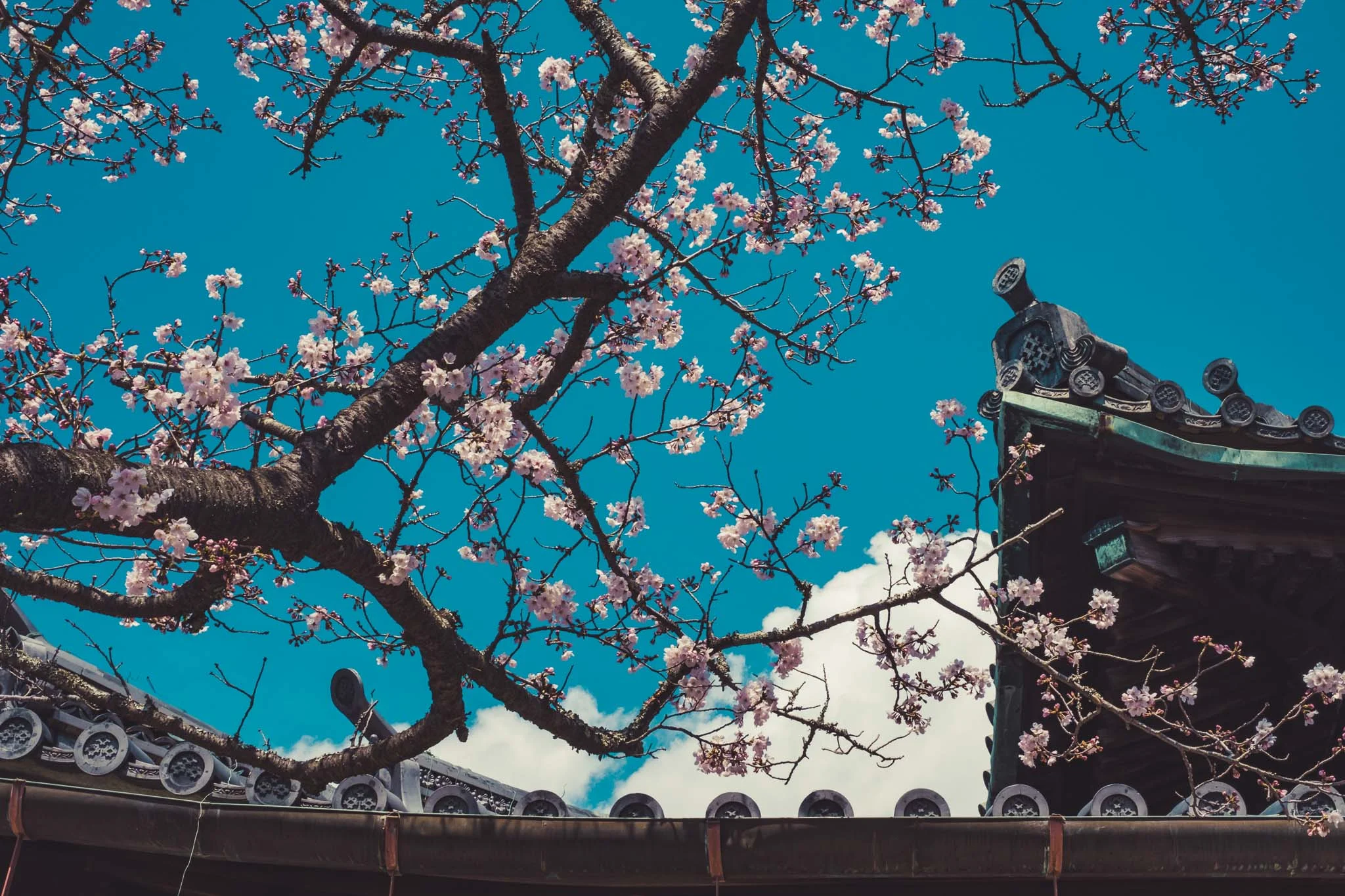 Kimidera Temple, Wakayama