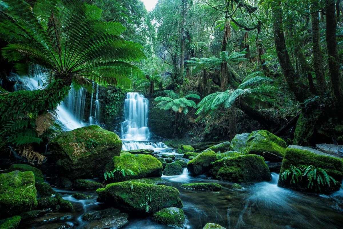 Horseshoe Falls, Mt. Field National Park