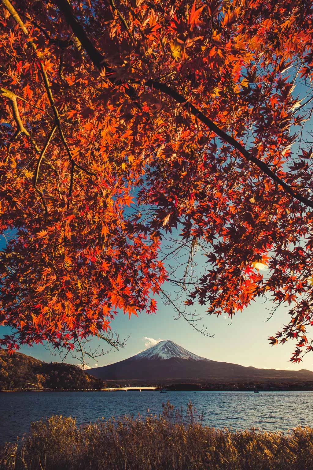 Lake Kawaguchi