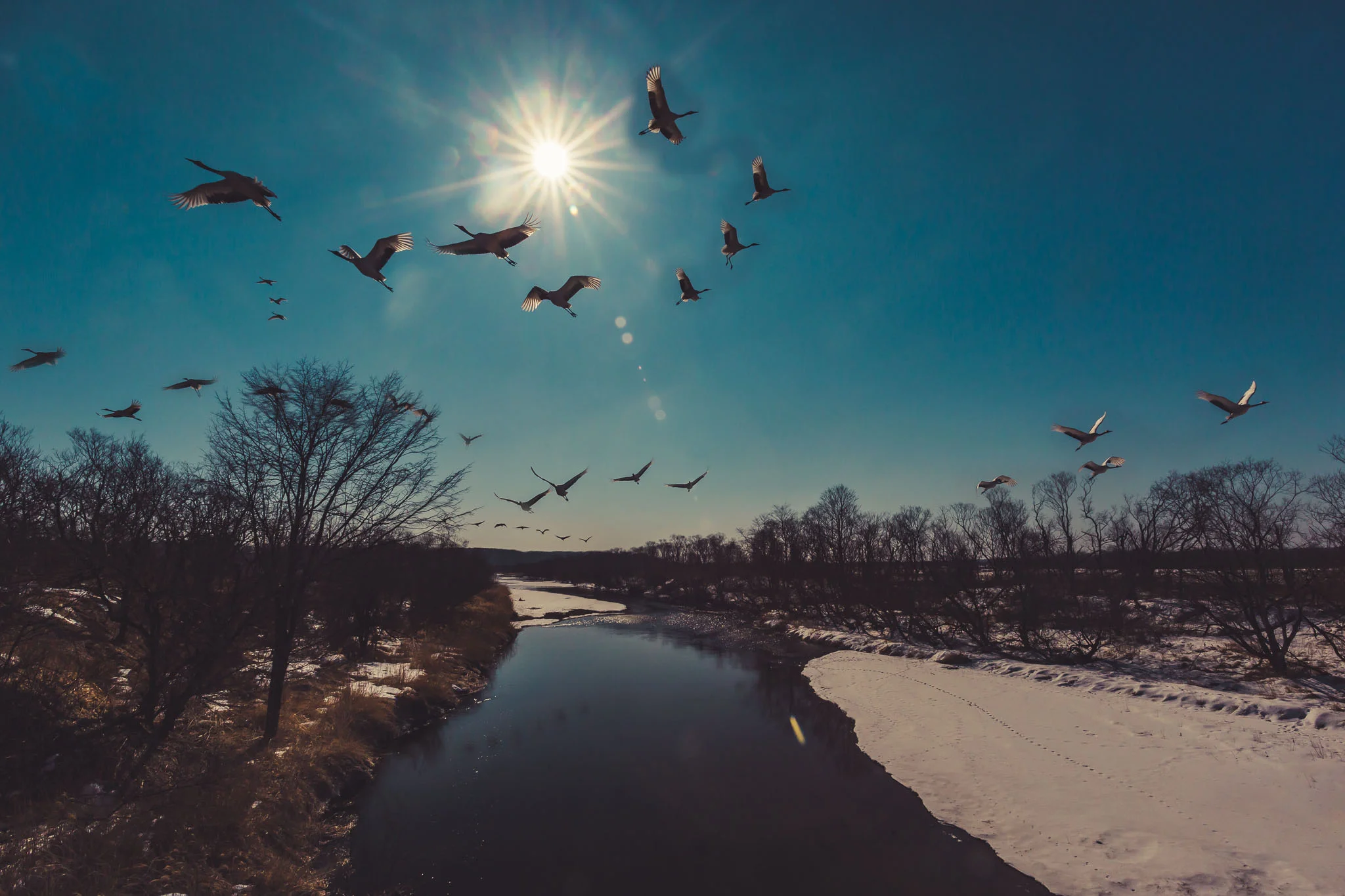 Flight Paths (1 of 1).jpg