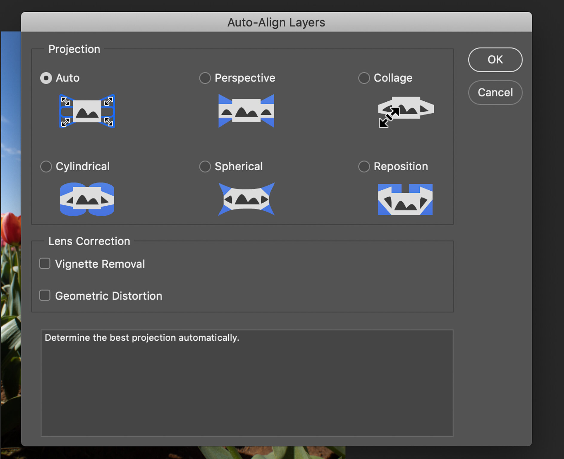 Auto Align Layers