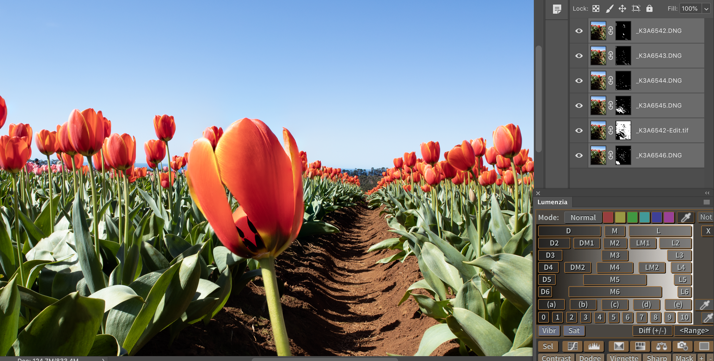 4 Easy Steps to Focus Stacking