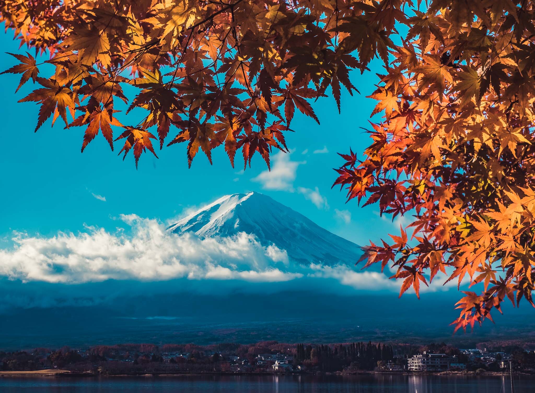 Mt Fuji Autumn Leaves (1 of 1).jpg