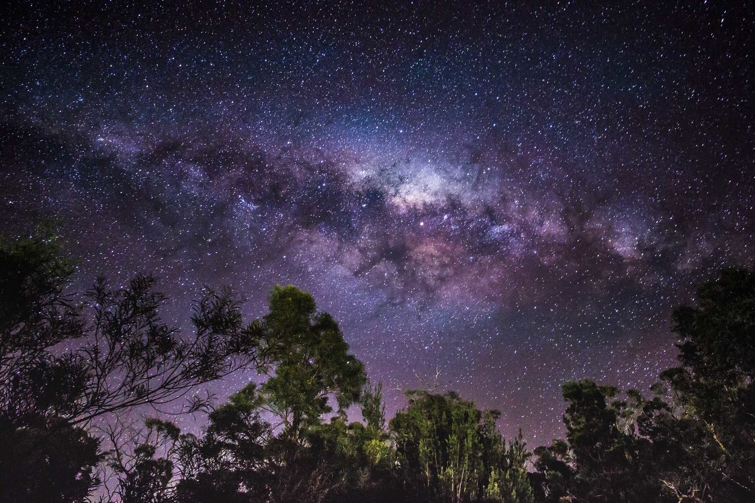 Tasmania+Photo+Tours+-+Milky+Way.jpg