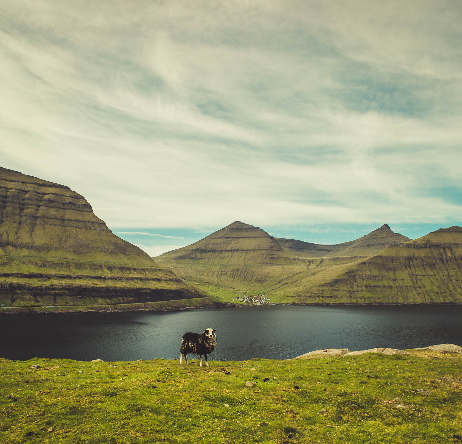 Faroe (21 of 27).jpg