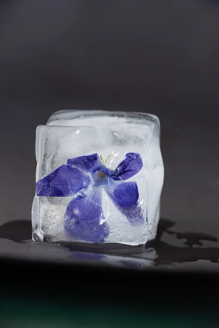 Ice Flowers