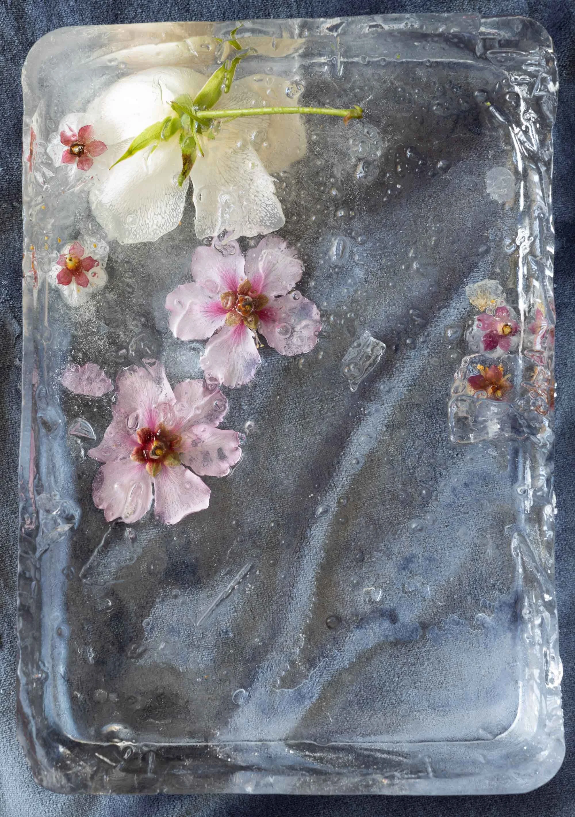 Clear Ice Flower-9.jpg