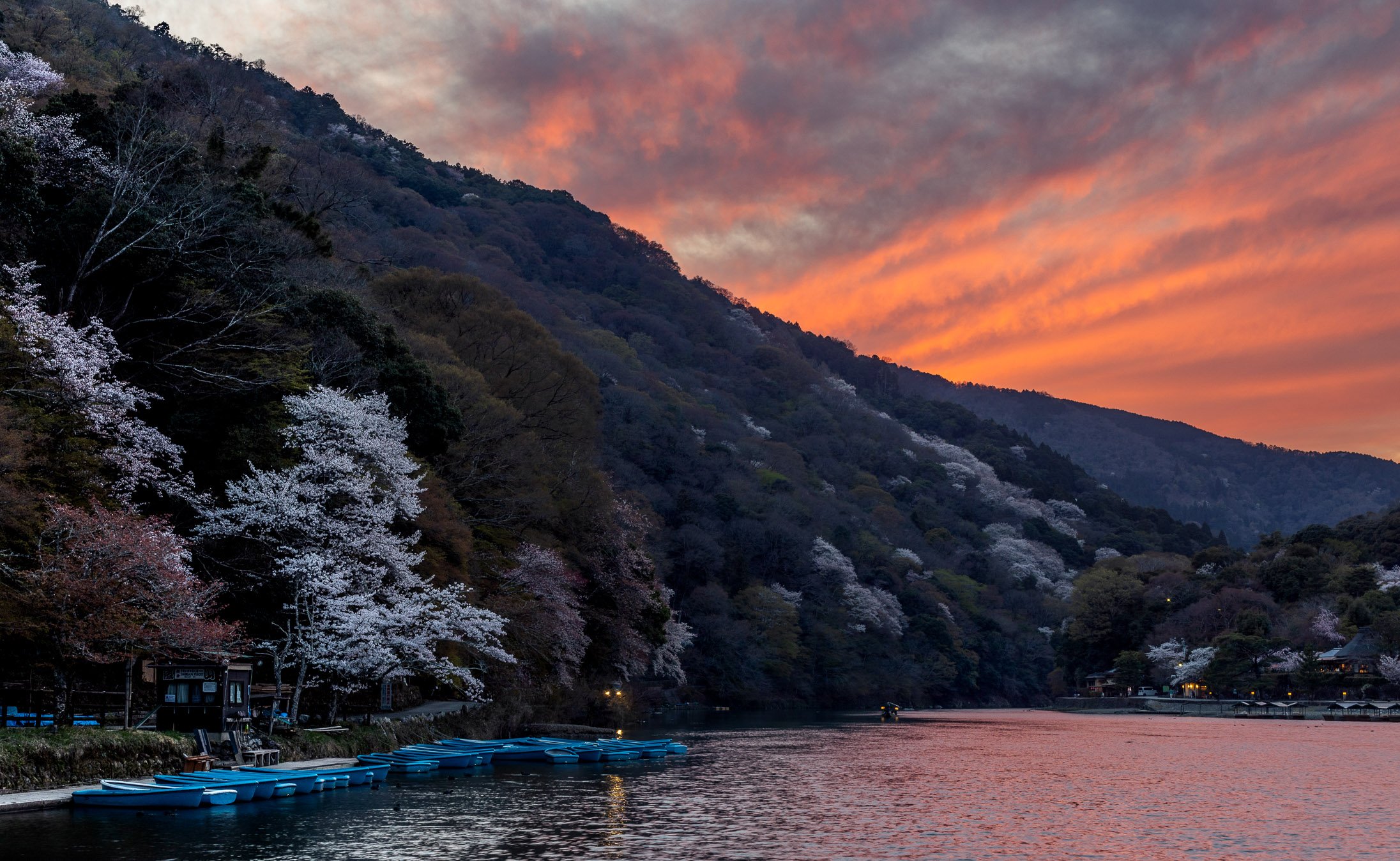 Arashiyama-22.jpg