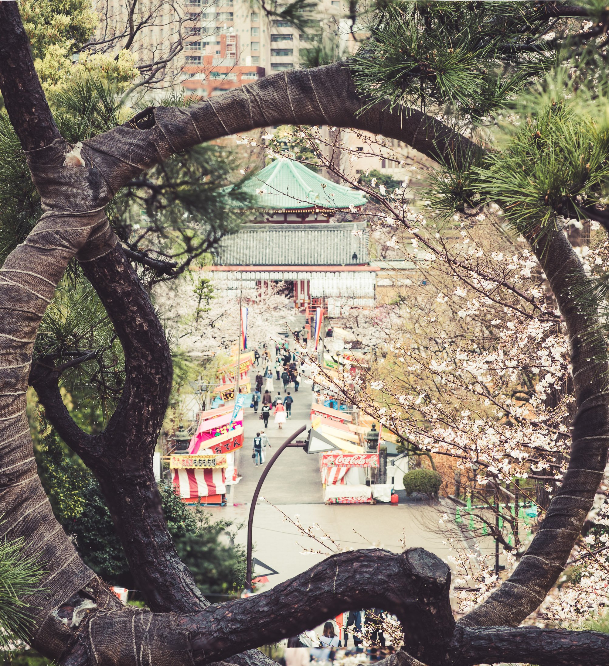 Ueno Park.jpg