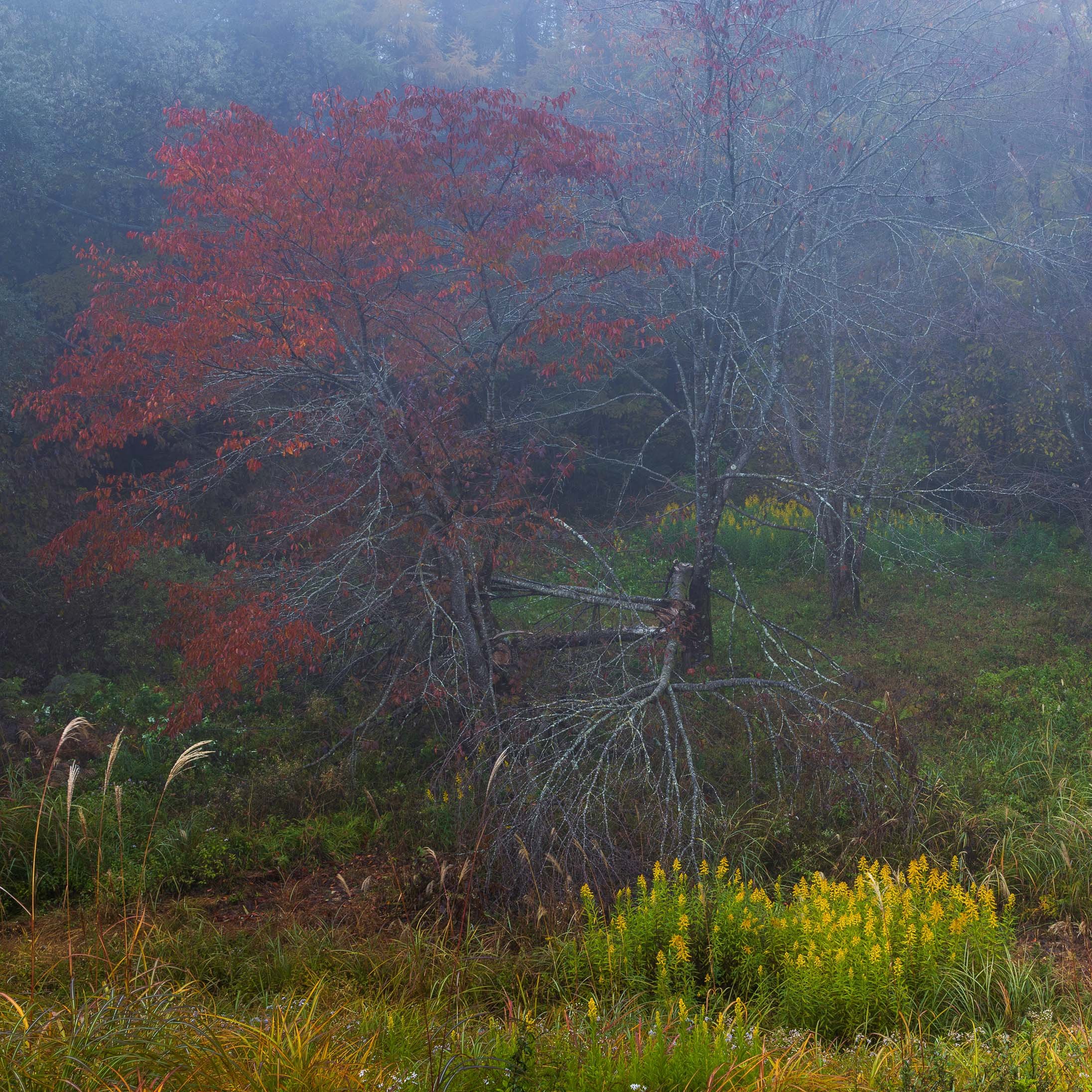 Akimoto Lake-6.jpg