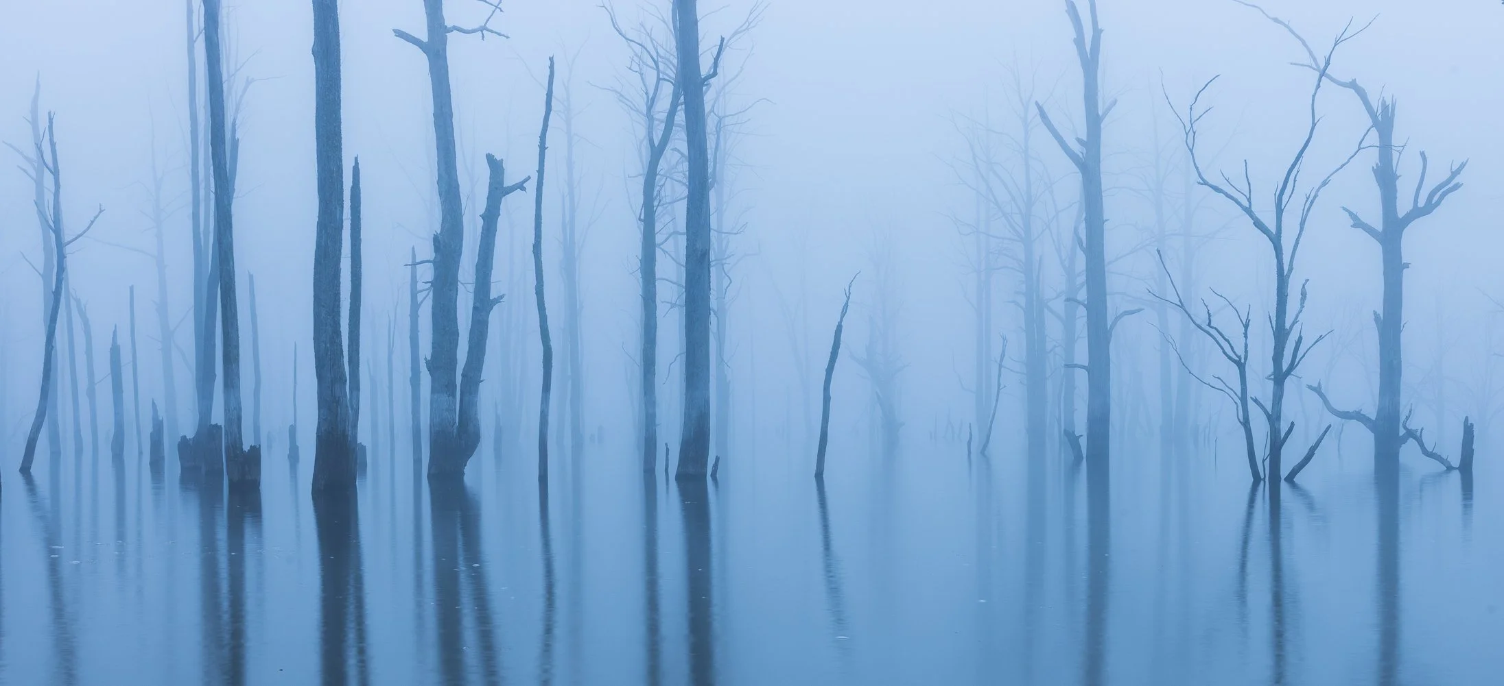 Arthur's Fog-2.jpg (Copy)