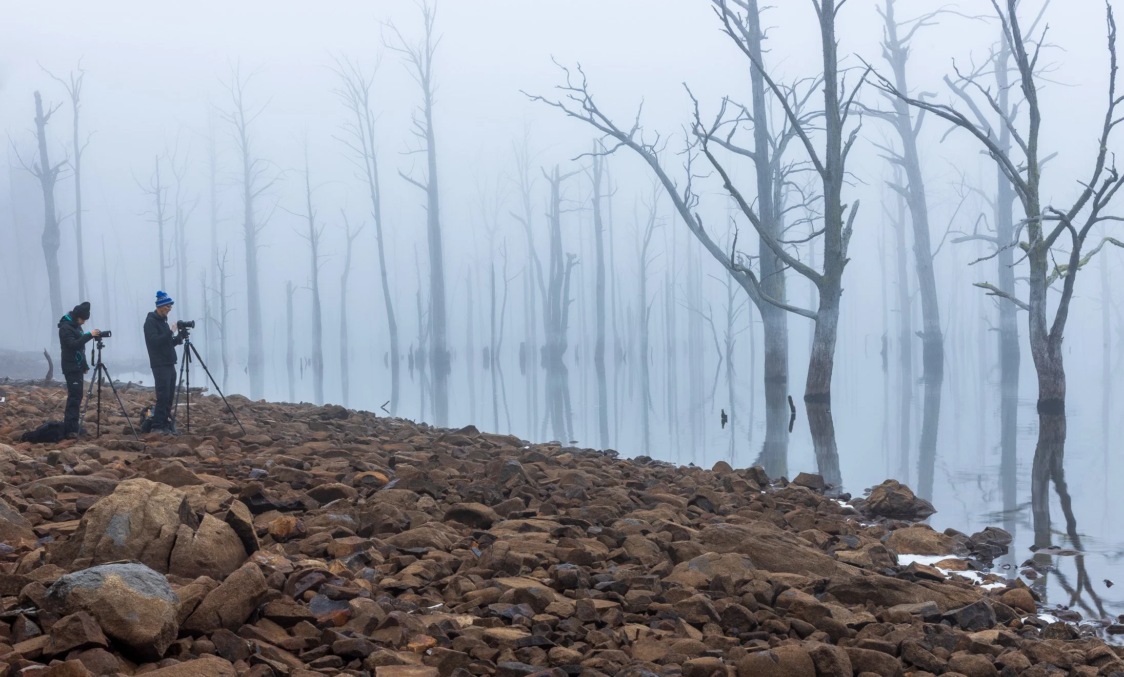 Arthur's Fog-15.jpg (Copy)