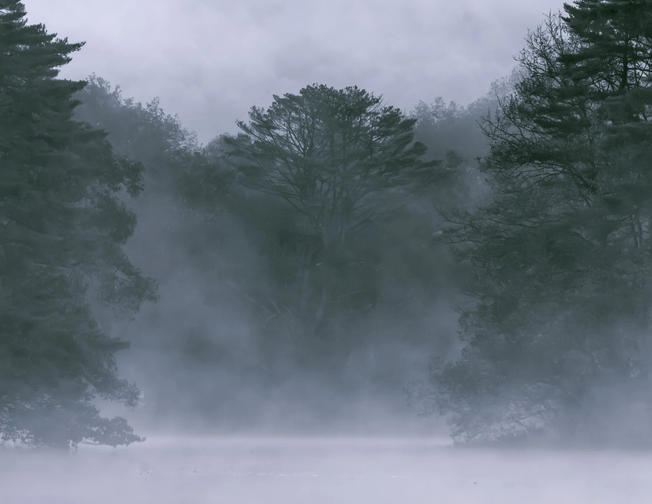 Foggy Fukushima-3.jpg (Copy)