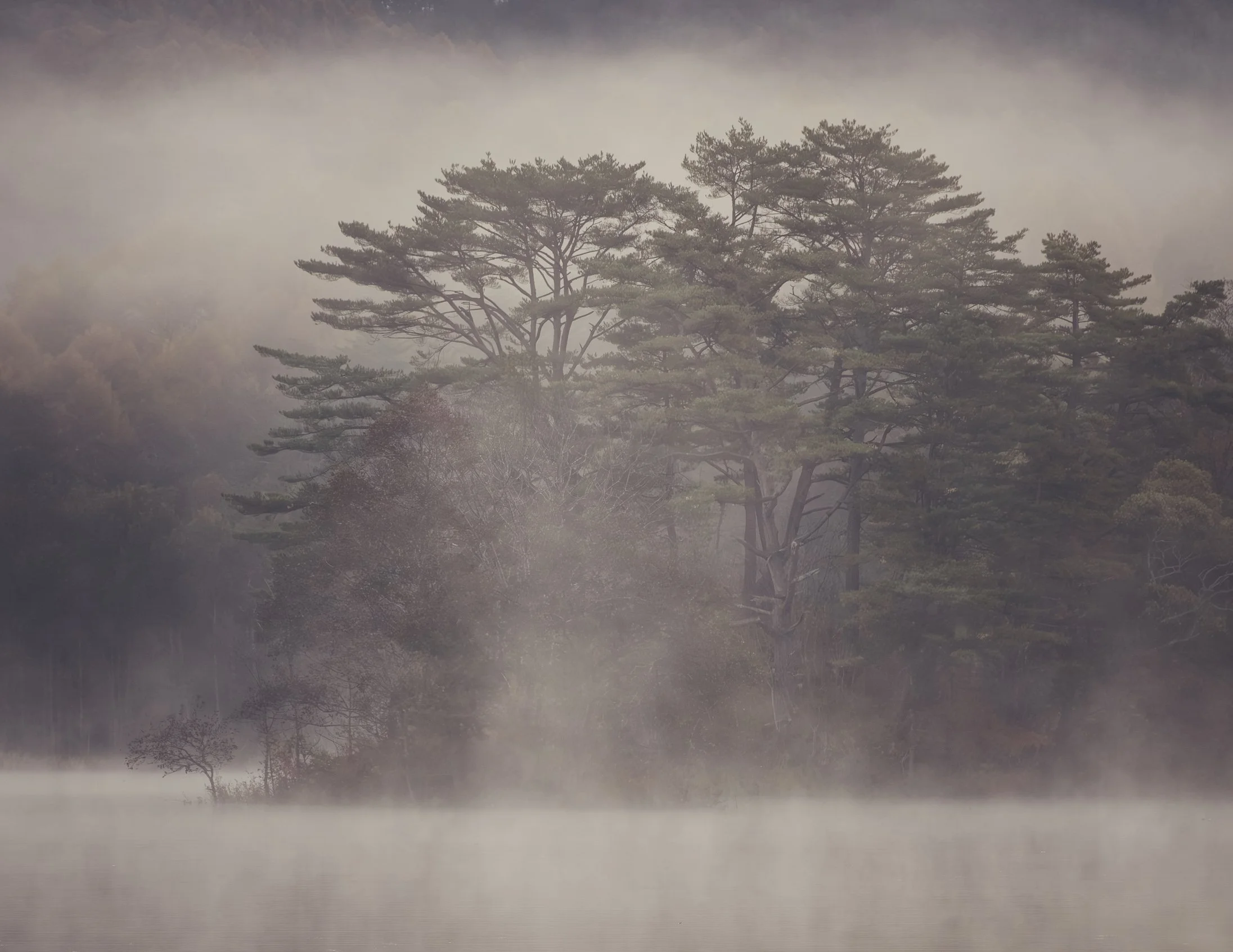 Foggy Fukushima-2.jpg (Copy)