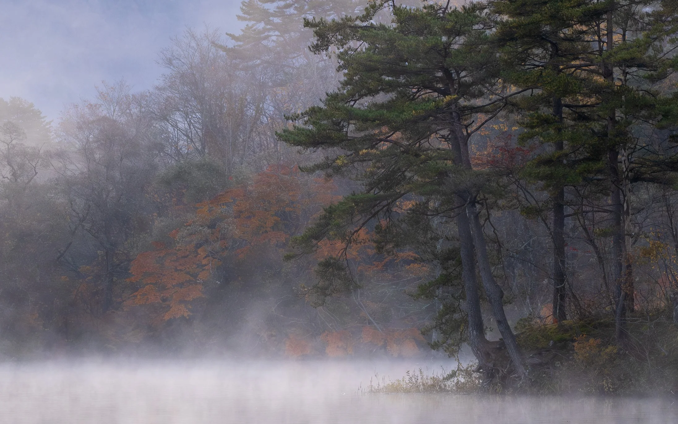 Foggy Fukushima.jpg (Copy)