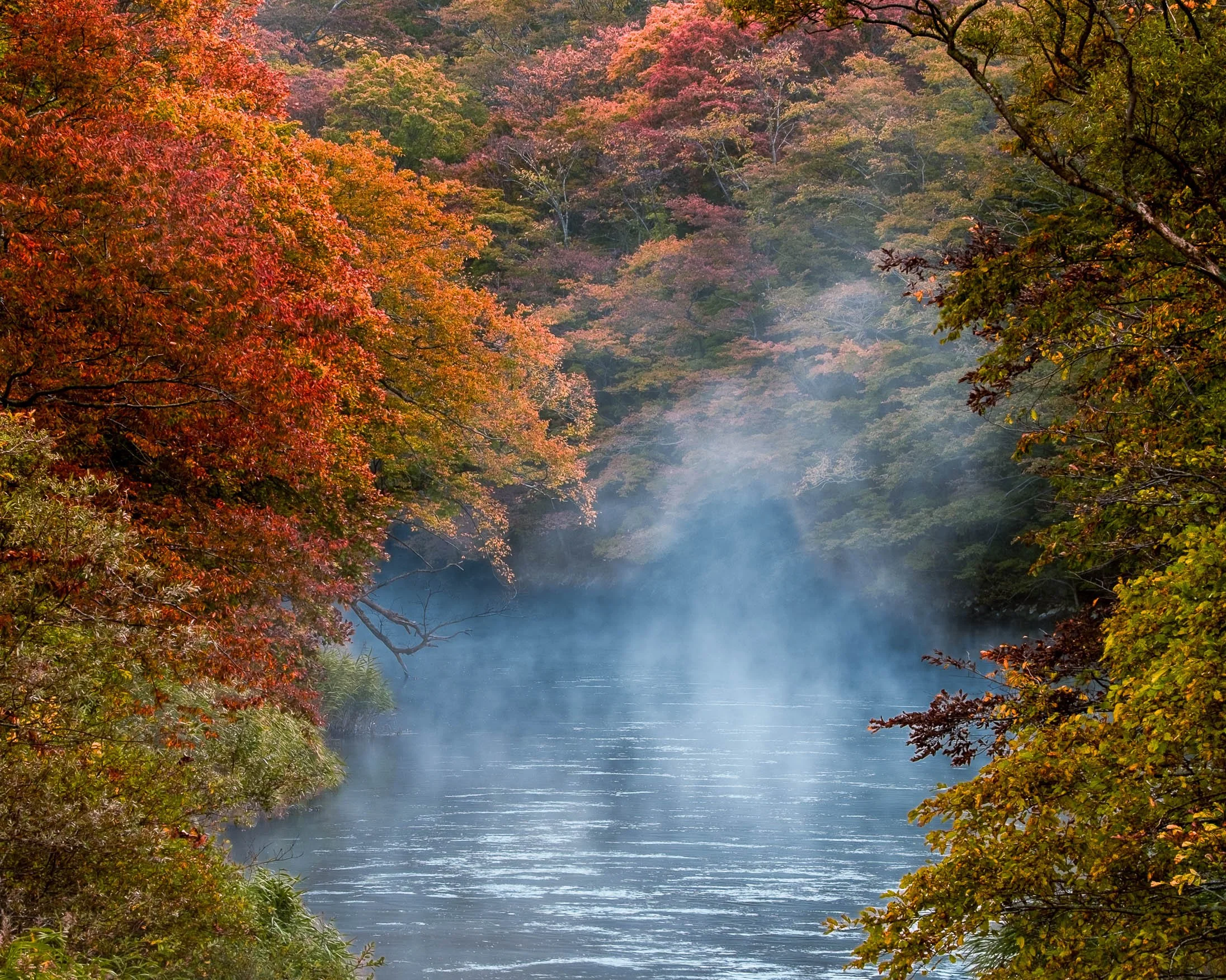 Oirase Fog.jpg (Copy)
