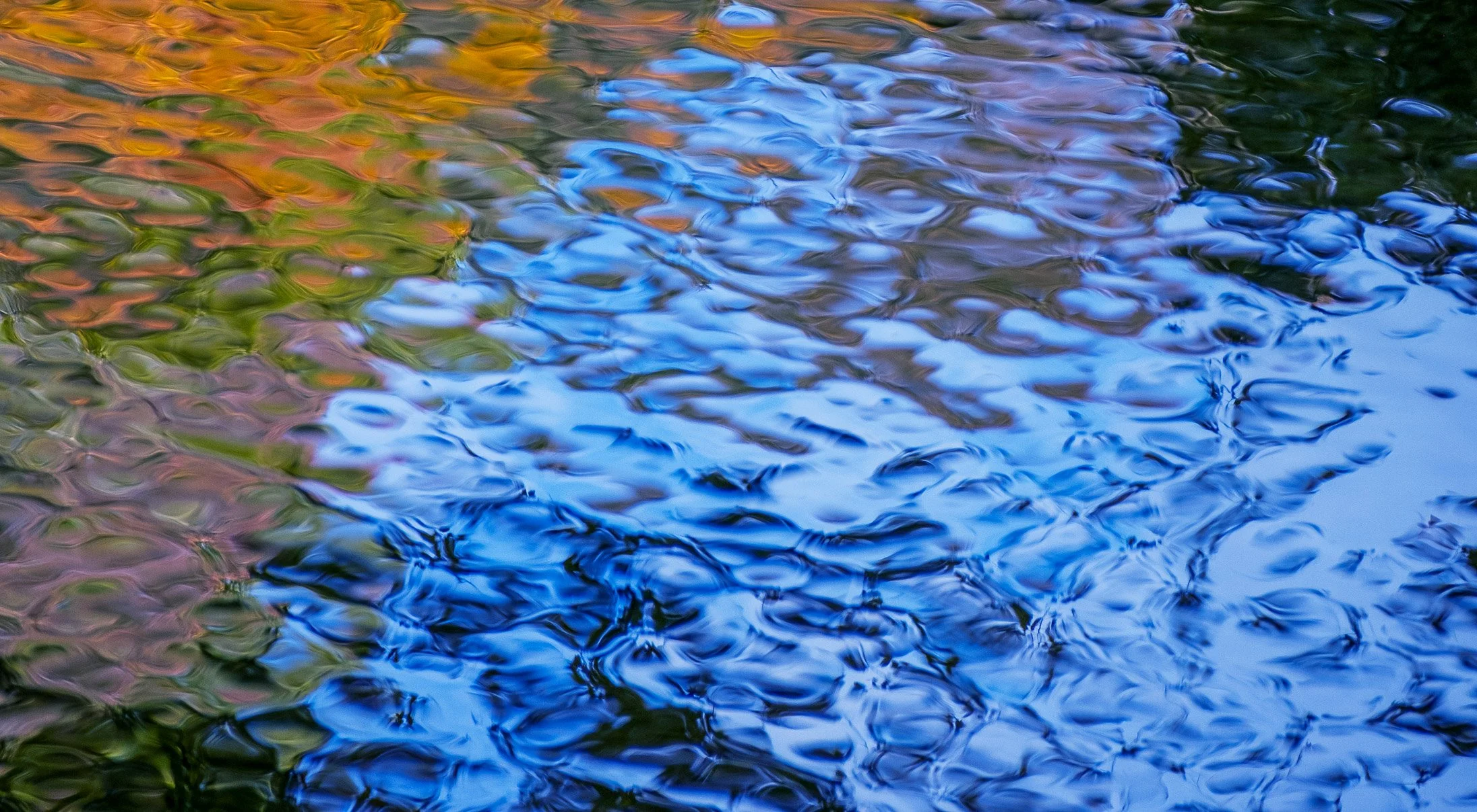 Oirase Autumn Colors Abstracts-2.jpg (Copy)