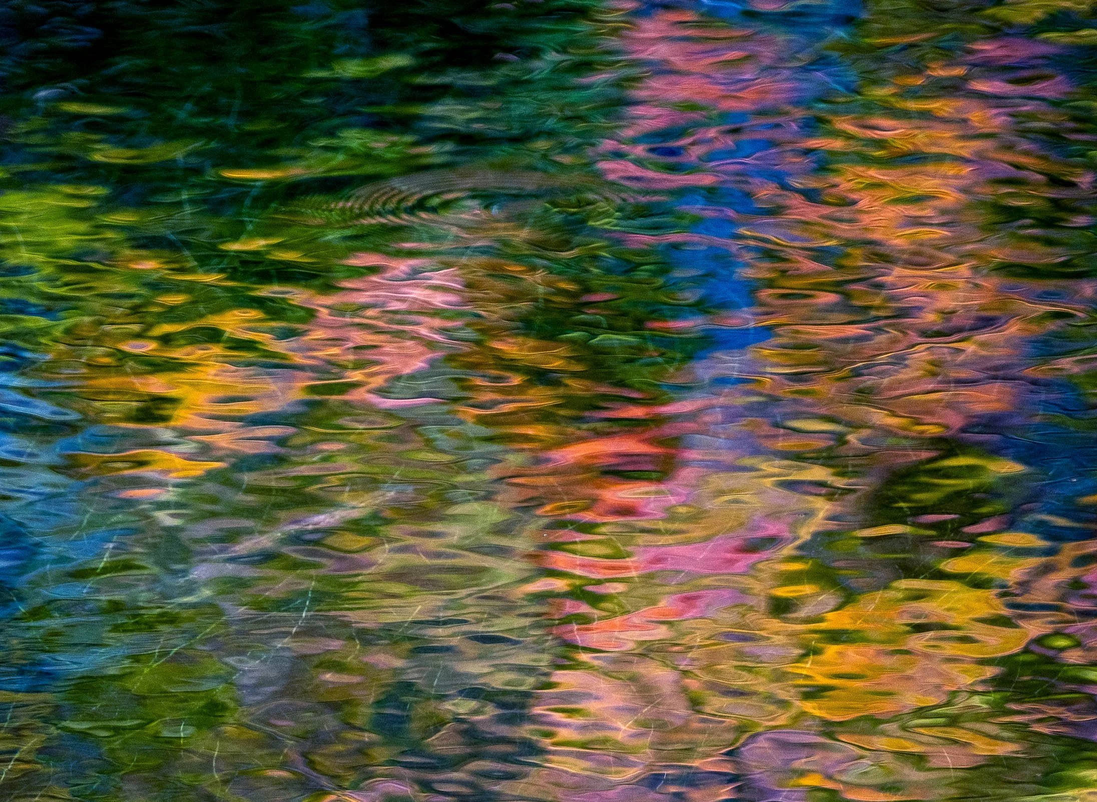 Oirase Autumn Colors Abstracts-3.jpg (Copy)