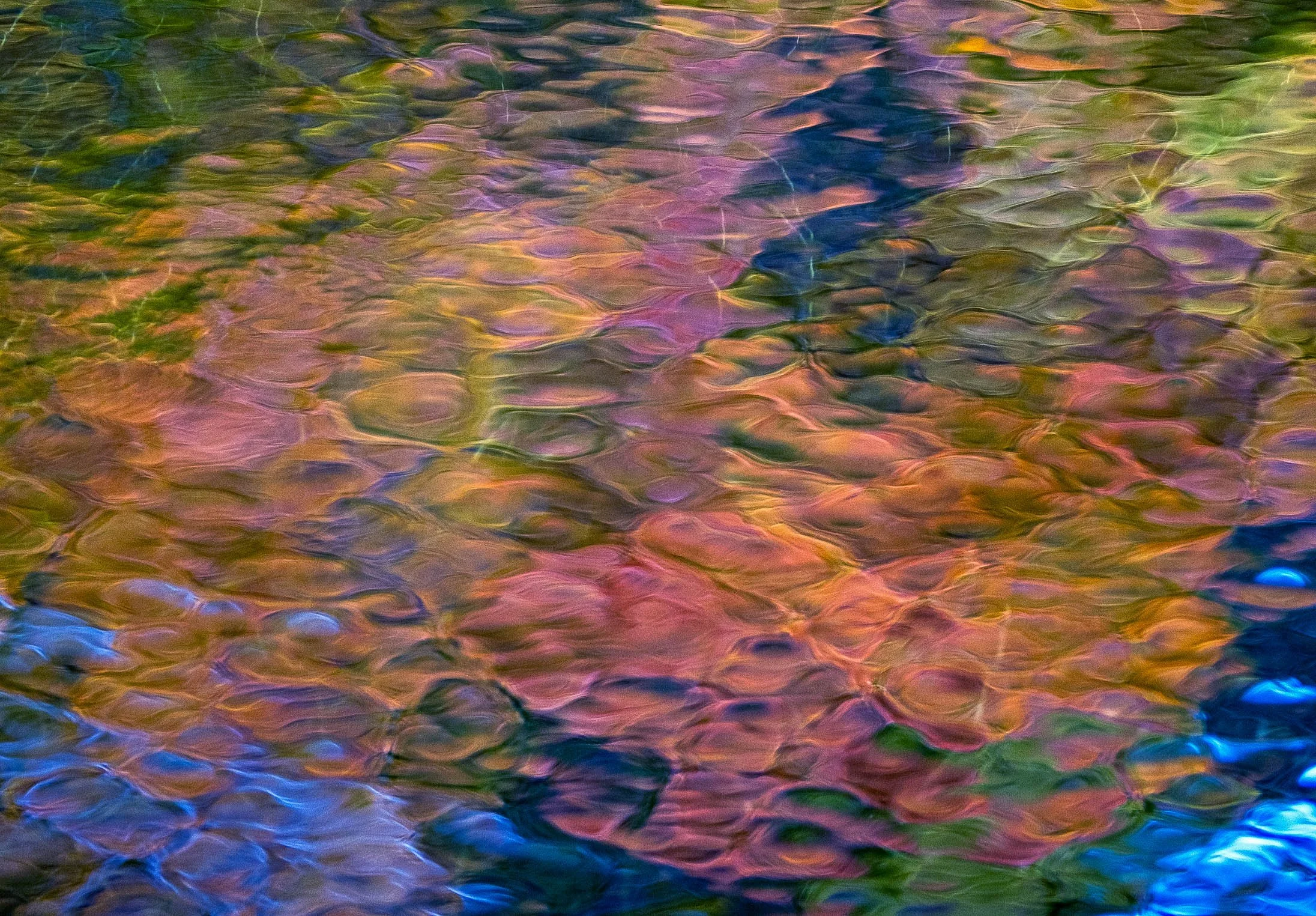 Oirase Autumn Colors Abstracts-4.jpg (Copy)