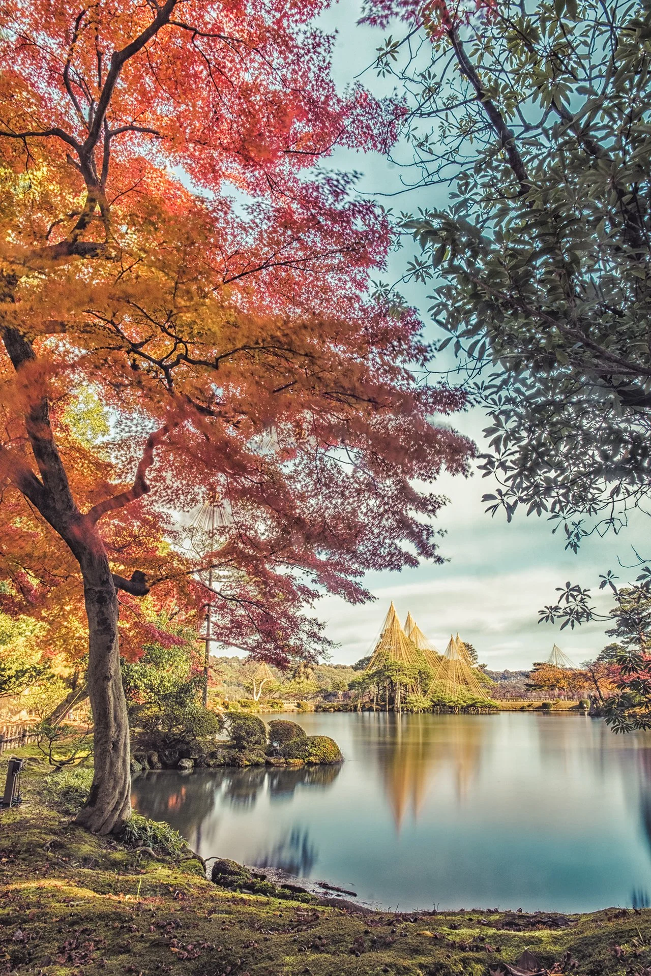 How Japanese Art Influences My Photography Style