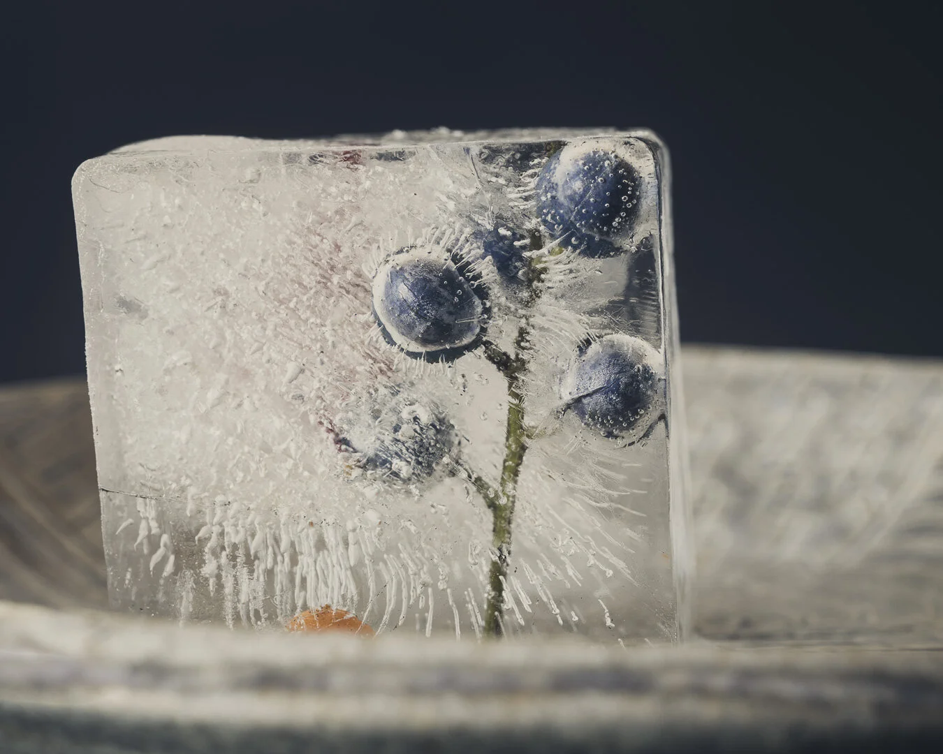 Ice Flowers.jpg