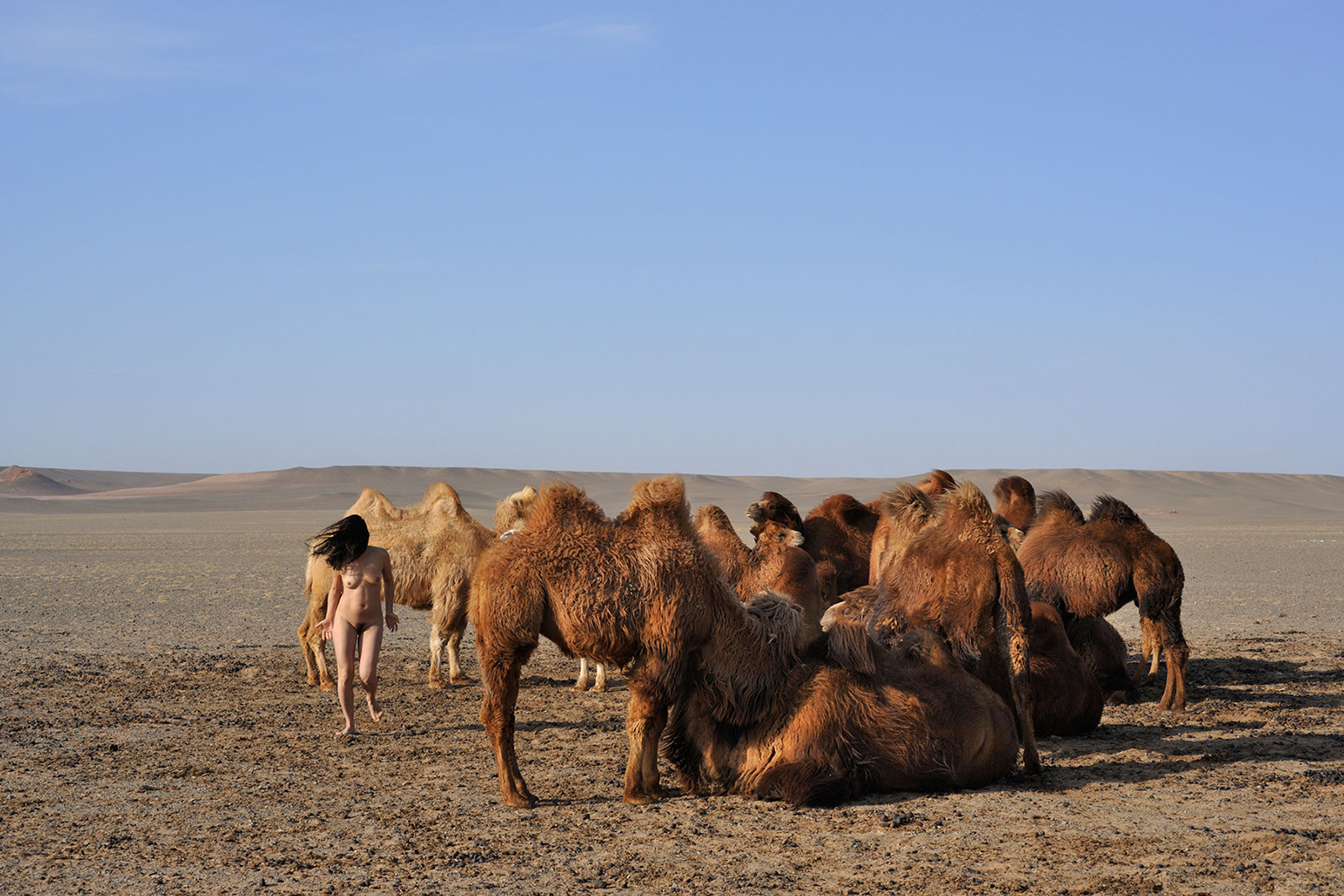 Bayanzag, <br>Mongolia, Gobi 2