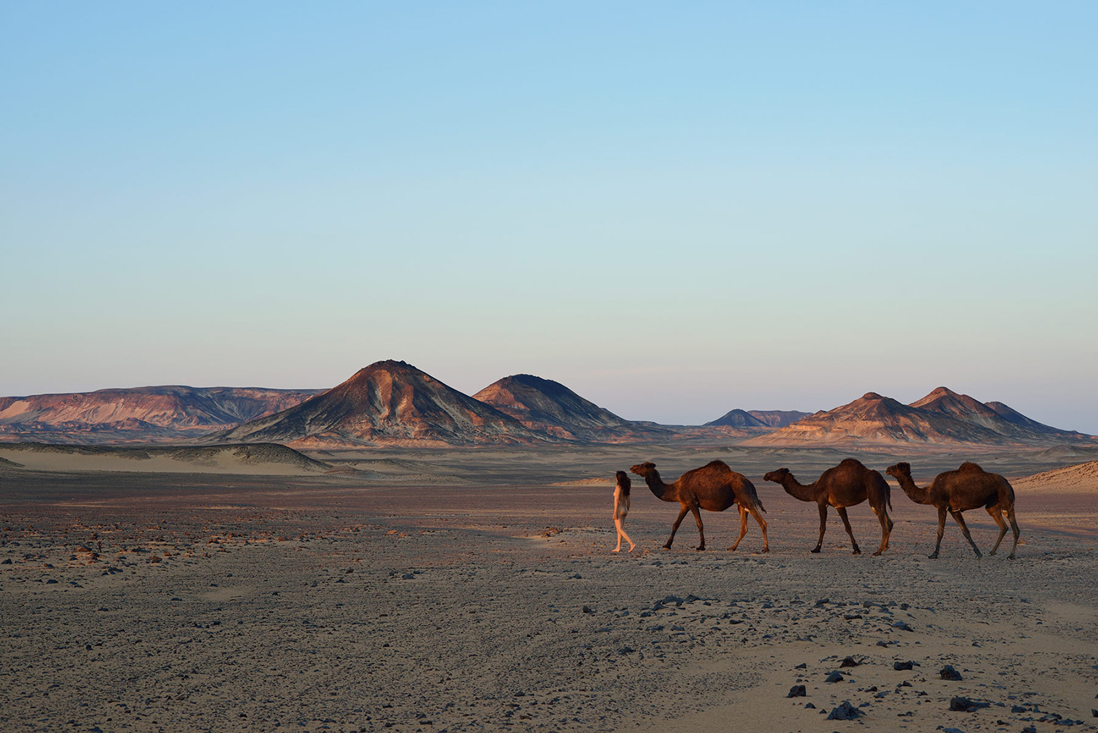 Black Desert, <br>Egypt, Sahara