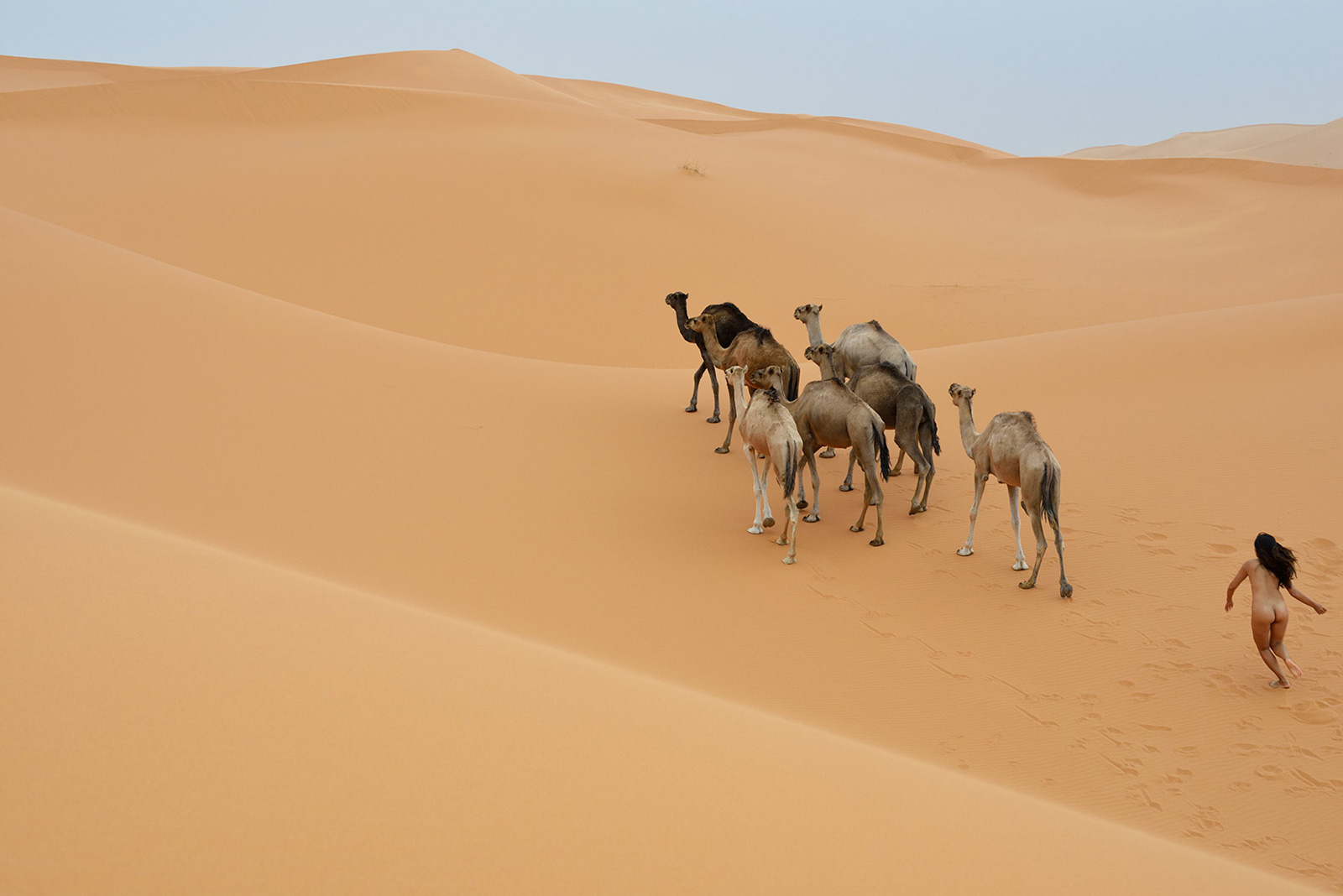 Erg Chebbi, <br>Morocco, Sahara 3