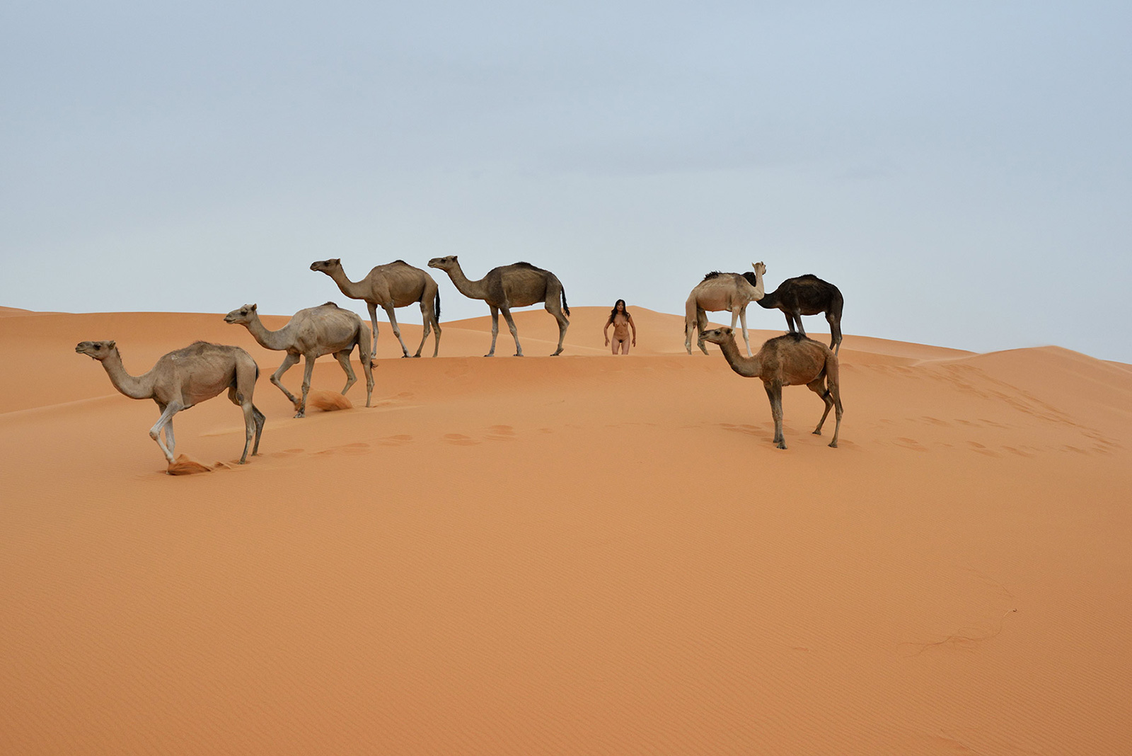 Erg Chebbi, <br>Morocco, Sahara 4