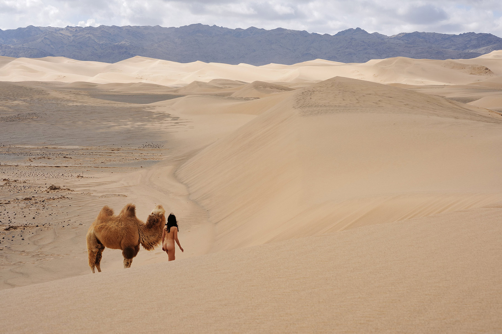 Khongoryn Els, Mongolia, Gobi 1 