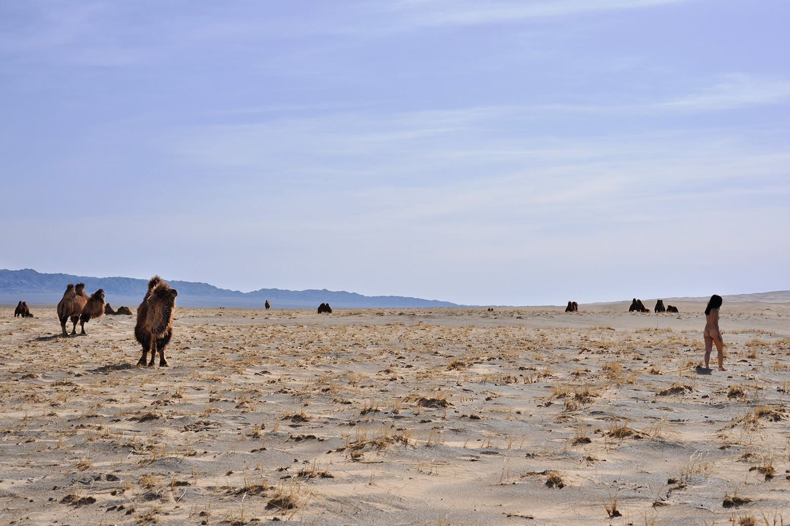 Khongoryn Els, Mongolia, Gobi 3