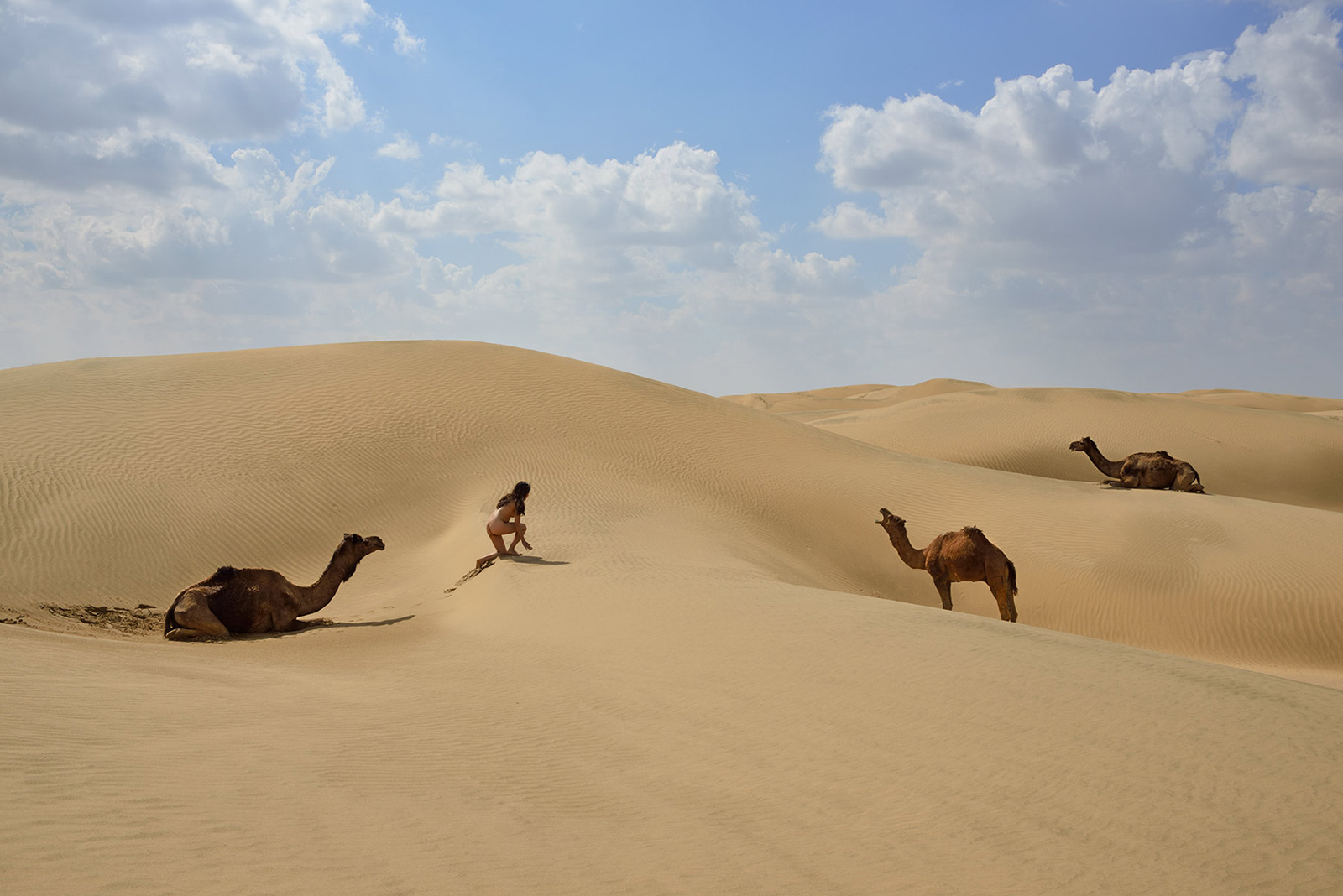 Siyala Dunes, <br>India, Thar Desert 1